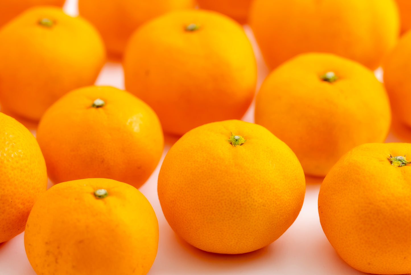 【みかんのみっちゃん農園】早生みかん（数量限定） 甘さ × 酸味の黄金比