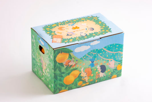 【みかんのみっちゃん農園】早生みかん（数量限定） 甘さ × 酸味の黄金比