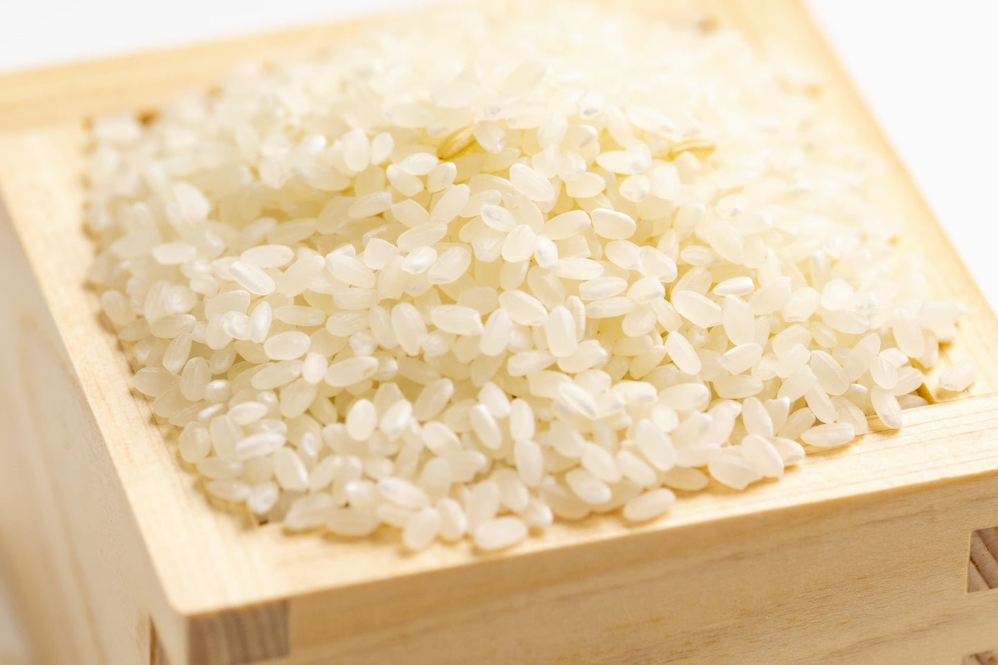 ［野口ファーム］2025年新米 ハナエチゼン（5kg）ツヤ/粒感・冷めても◎・限定25名