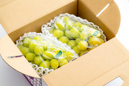 ［かねおく農園］樹上完熟シャインマスカット 2房（約1.3kg／黄色系・香り高い）